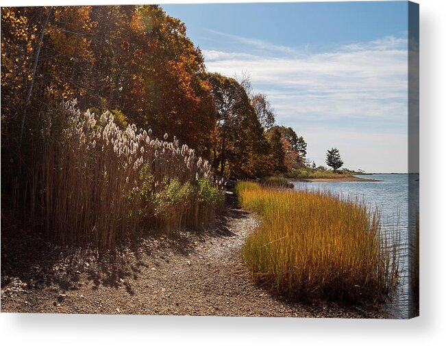 Bluff Point Acrylic Print featuring the photograph Bluff Point Stroll by Kirkodd Photography Of New England