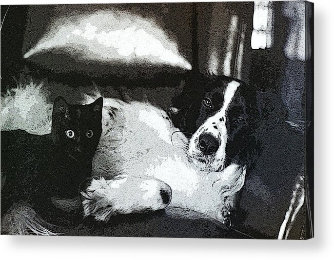 Dog And Cat Acrylic Print featuring the digital art Bosom Buddies by Geoff Jewett