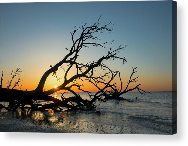 Seashell Acrylic Print featuring the photograph Botany Bay Sunrise-3 by John Kirkland