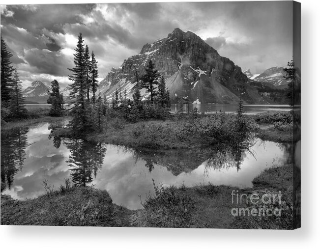 Bow Acrylic Print featuring the photograph Bow Lake Wetlands Reflections Black And White by Adam Jewell