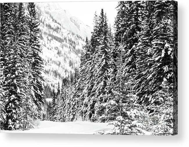 Rocky Mountains Acrylic Print featuring the photograph Bow Valley Parkway in Winter by Wilko van de Kamp Fine Photo Art