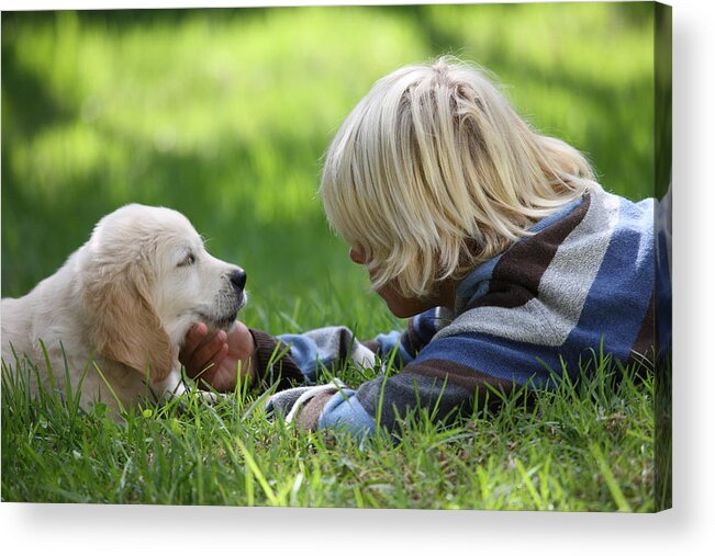 White People Acrylic Print featuring the photograph Boy stroking Golden Retriever puppy on grass by Russ Rohde
