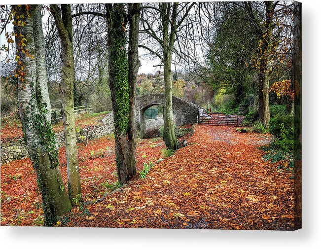  Acrylic Print featuring the photograph Autumn Colours Ireland #1 by Sublime Ireland