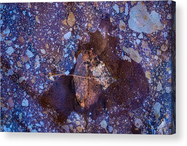 Decomposition Acrylic Print featuring the photograph Breaking Up by Deborah Hughes