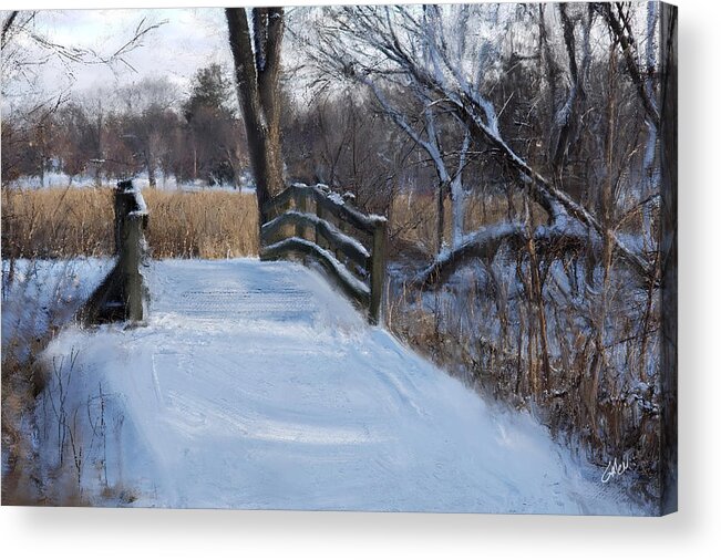 Minneapolis Acrylic Print featuring the digital art Bridge at Lake Nokomis by Glenn Galen