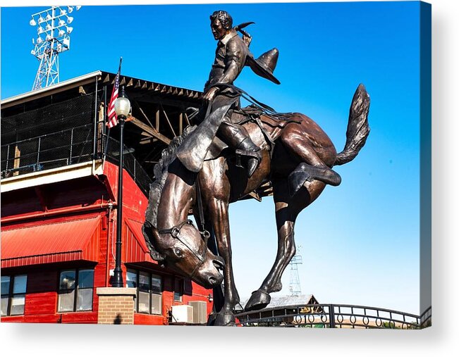 Bronc Rider Acrylic Print featuring the photograph Bronc Rider by Tom Cochran