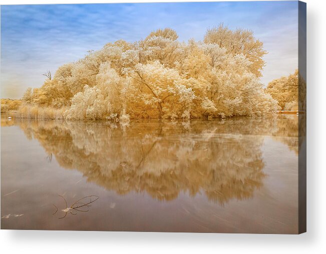 Nature Acrylic Print featuring the photograph Brooklyn Park in Bright Yellow by Auden Johnson