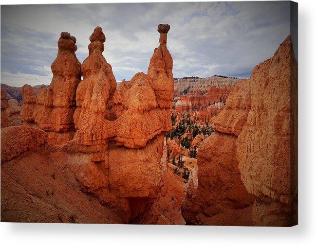 Bryce Canyon National Park Acrylic Print featuring the photograph Bryce National Park - Three Hoodoos by Yvonne Jasinski
