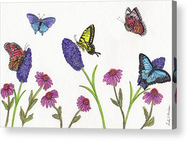 Butterfly Acrylic Print featuring the drawing Butterfly Paradise by Nicole I Hamilton