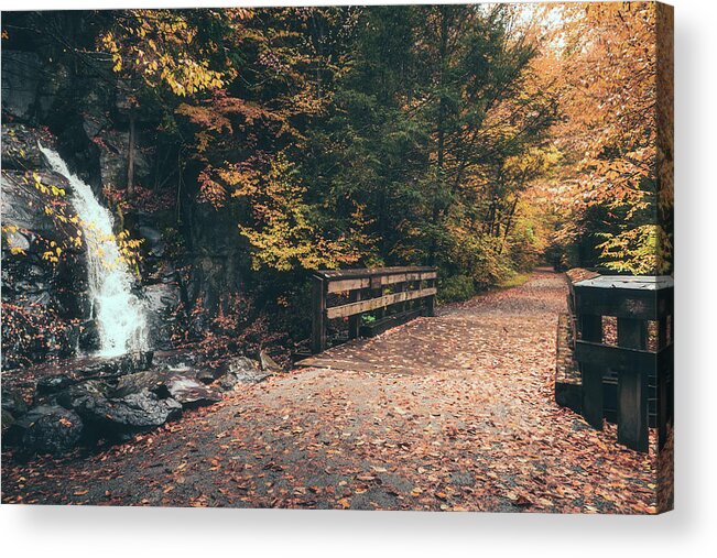 Waterfall Acrylic Print featuring the photograph Buttermilk Falls and DL Trail in Autumn by Jason Fink