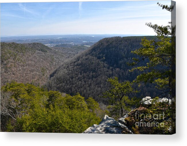 Cumberland Plateau Acrylic Print featuring the photograph Buzzard Point Overlook 1 by Phil Perkins