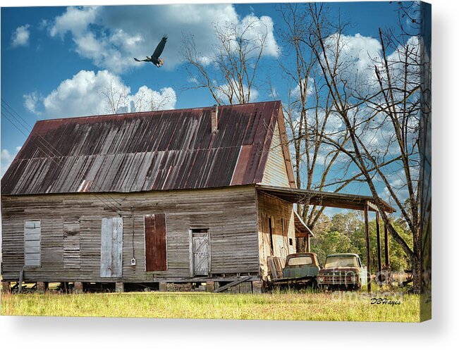 Barns Acrylic Print featuring the photograph Bygone by DB Hayes