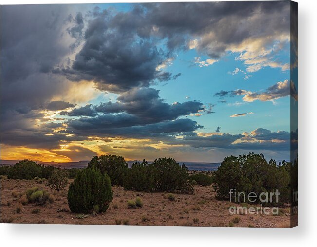 Landscape Acrylic Print featuring the photograph Cabezon Gold by Seth Betterly