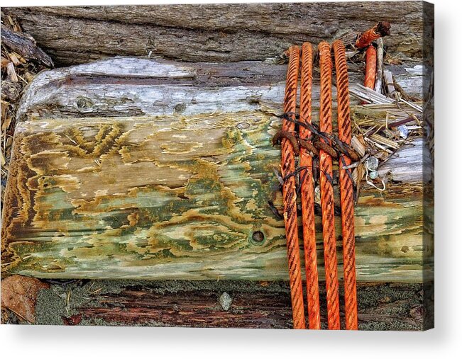 Abstract Acrylic Print featuring the digital art Cable Around A Log by David Desautel