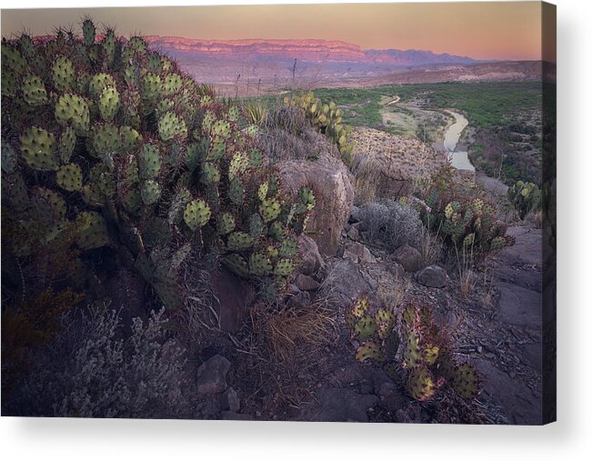 Rio Grande Acrylic Print featuring the photograph Cactarium by Slow Fuse Photography
