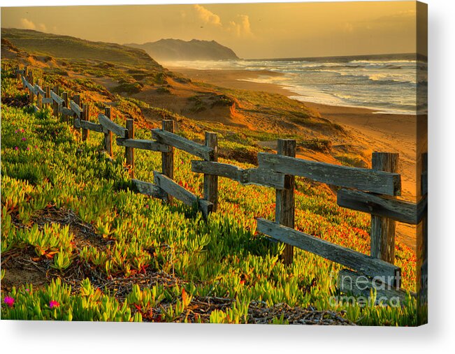Point Reyes Acrylic Print featuring the photograph California Golden Coast by Adam Jewell