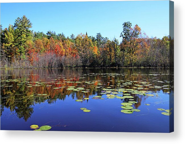 Key River Acrylic Print featuring the photograph Calm Shallows Of The Key River In Fall by Debbie Oppermann