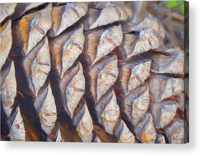 Imaginary Lands Acrylic Print featuring the digital art Canyons Of The Blackjack Pine by Becky Titus