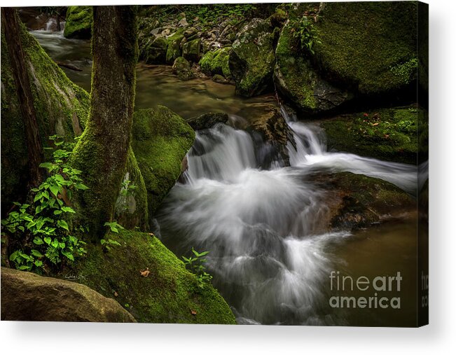 Waterfall Acrylic Print featuring the photograph Cascade at Rocky Fork by Shelia Hunt