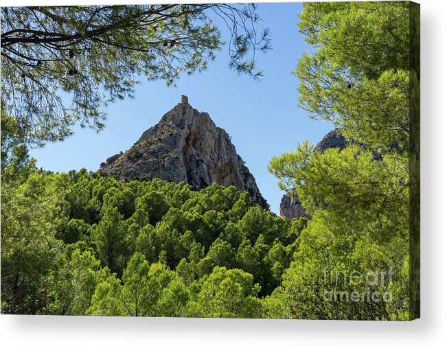 Mountain Landscape Acrylic Print featuring the photograph Castellet de Calp and pine forest by Adriana Mueller