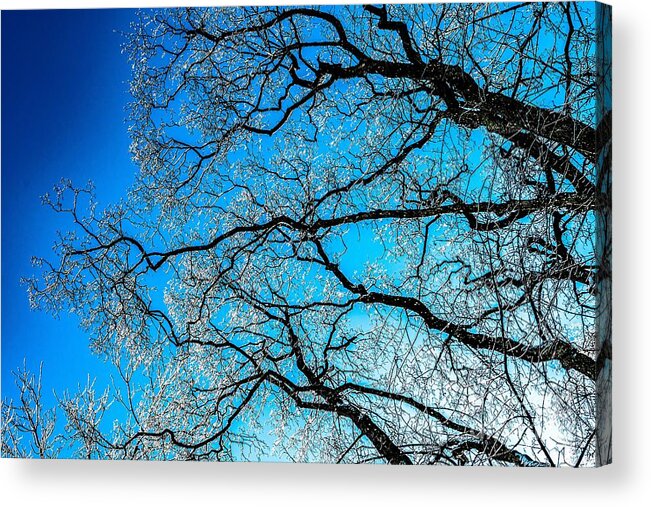Abstract Acrylic Print featuring the photograph Chaotic System Of Ice Covered Tree Branches With Blue Sky by Andreas Berthold