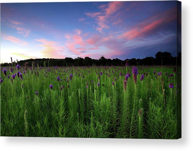  Acrylic Print featuring the photograph Cherokee Prairie at Sunset by William Rainey
