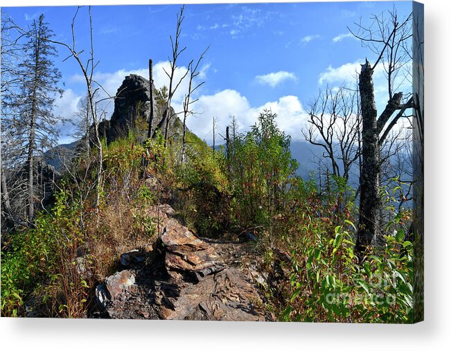 Chimney Tops Acrylic Print featuring the photograph Chimney Tops 19 by Phil Perkins