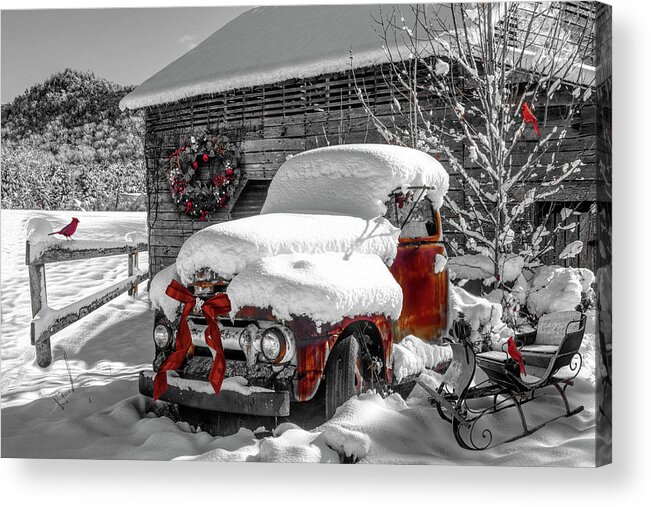 Barns Acrylic Print featuring the photograph Christmas Cardinals Black and White and Red by Debra and Dave Vanderlaan
