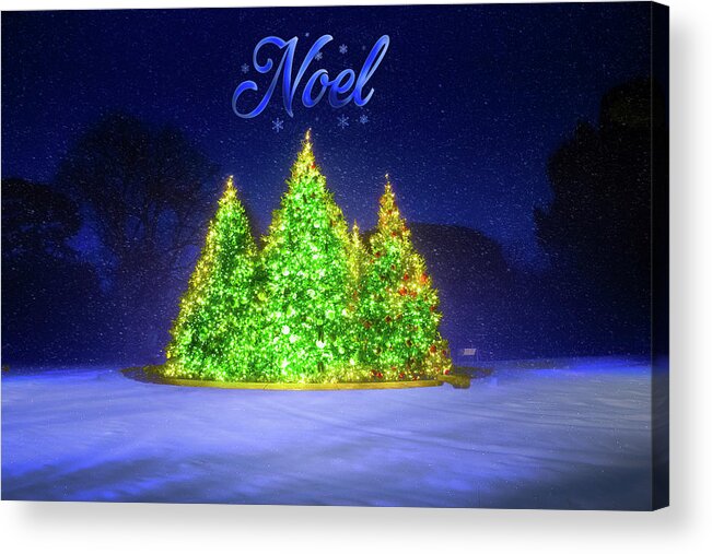 New York Botanical Gardens Acrylic Print featuring the photograph Christmas Tree Greeting Card by Mark Andrew Thomas