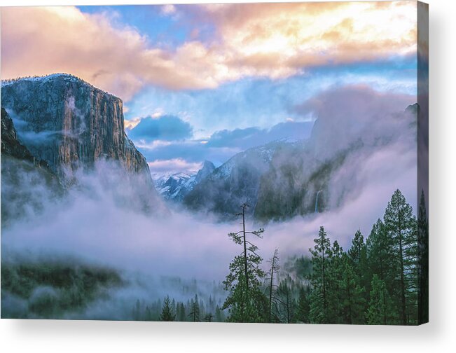 Yosemite National Park Acrylic Print featuring the photograph Circle Of Life by Jonathan Nguyen