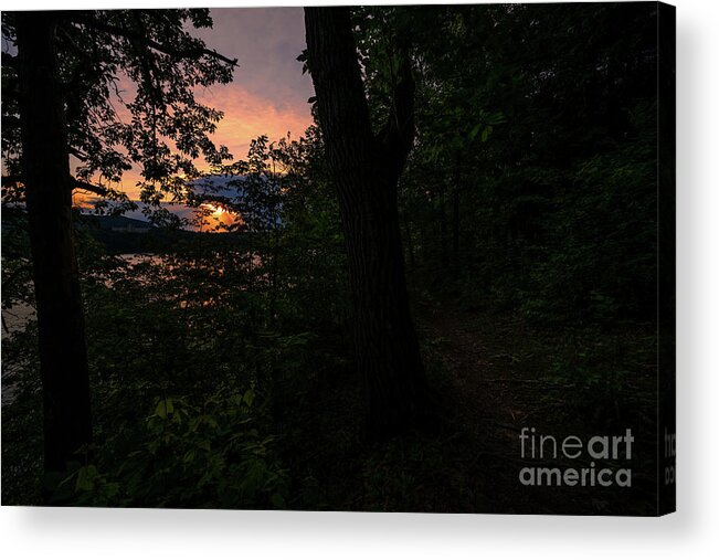 2020 Acrylic Print featuring the photograph Close to Sunset by Stef Ko