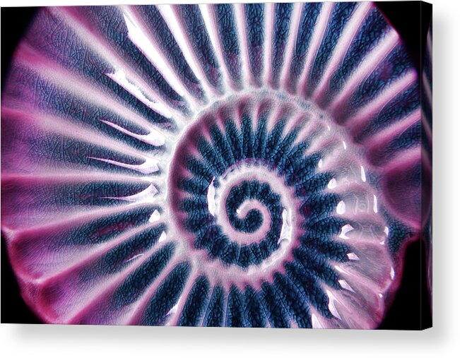 Shell Acrylic Print featuring the photograph Close Up Of Blue Violet Color Glass Decorative Shell Macro Background by Severija Kirilovaite
