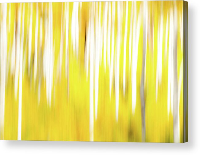 Abstract Acrylic Print featuring the photograph CO Abstract 736 by David Downs