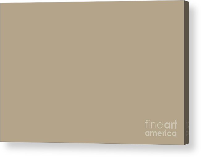 Beige Acrylic Print featuring the digital art Coastal Calm Beige Solid Color Pairs Sherwin Williams Outerbanks SW 7534 by PIPA Fine Art - Simply Solid