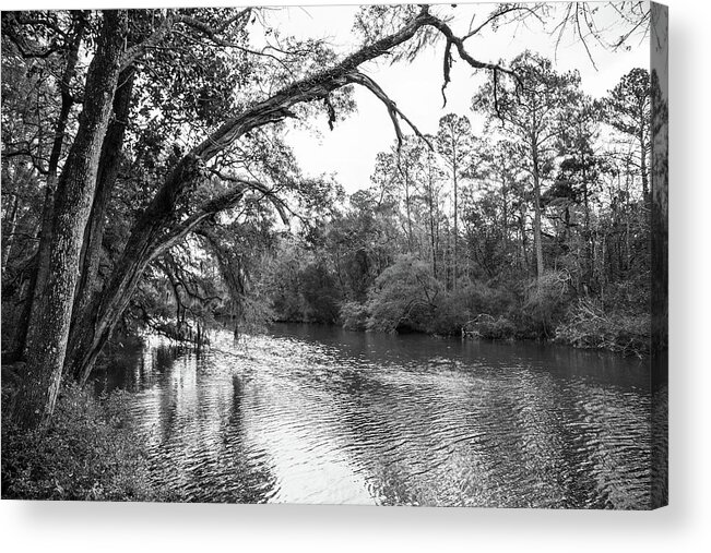 Colonial Dorchester Acrylic Print featuring the photograph Ashley River View at Colonial Dorchester by Cindy Robinson