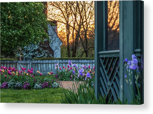 Iris Acrylic Print featuring the photograph Colonial Garden at Sunset by Rachel Morrison