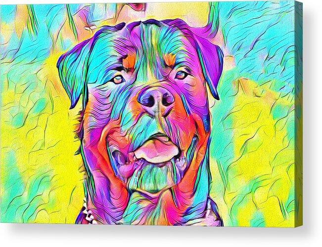 Rottweiler Dog Acrylic Print featuring the digital art Colorful Rottweiler dog portrait - digital painting by Nicko Prints