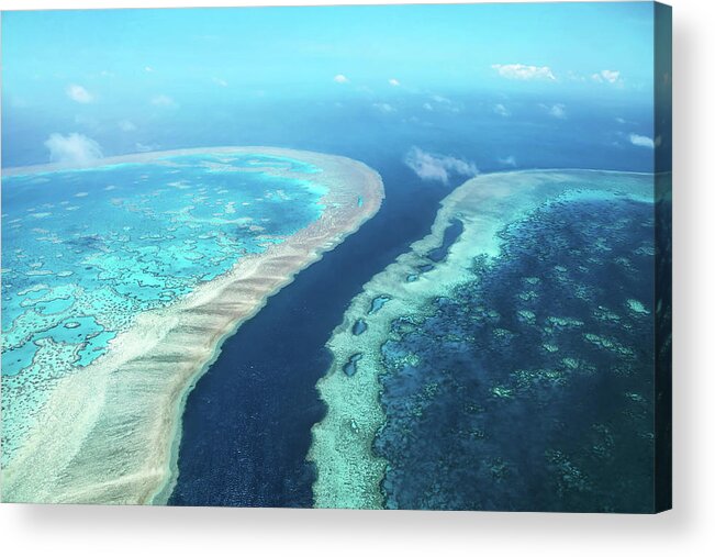 Great Barrier Reef Acrylic Print featuring the photograph Corals Edge by Az Jackson
