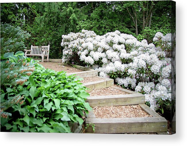 Rhododendron Acrylic Print featuring the photograph Cornell Botanic Gardens #7 by Mindy Musick King