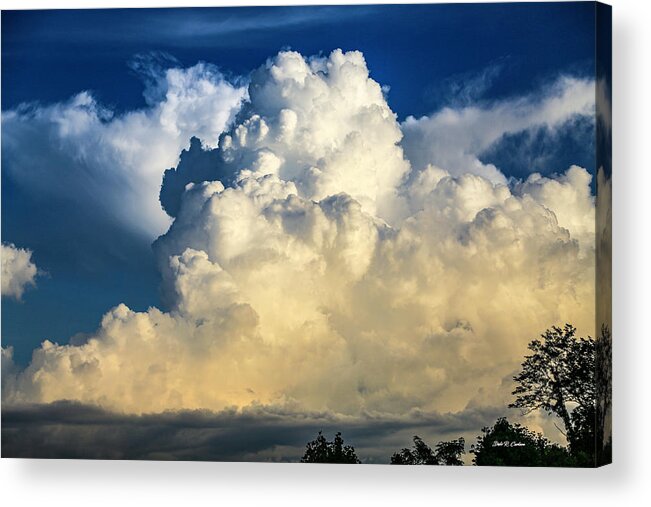 Clouds Acrylic Print featuring the photograph Cotton Candy Sky by Dale R Carlson