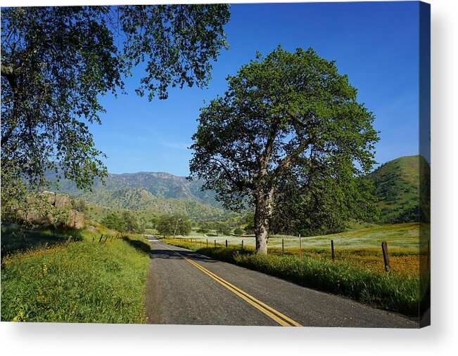 Country Mile Acrylic Print featuring the photograph Country Mile Yokohl Valley by Brett Harvey