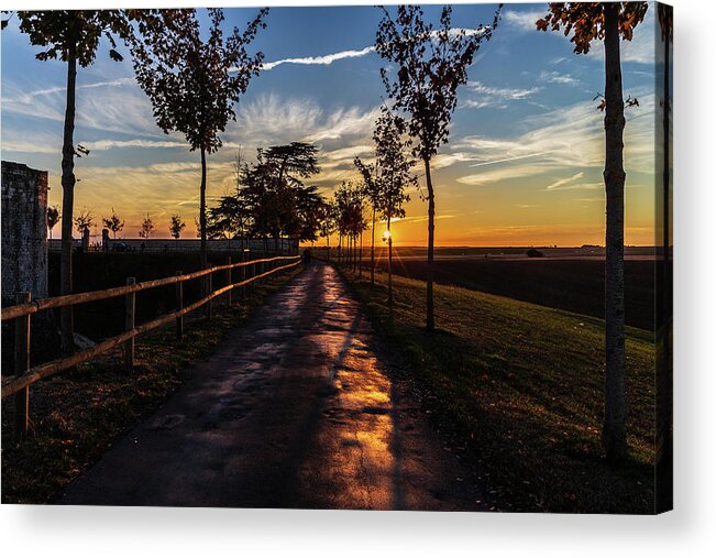 Sunset Acrylic Print featuring the photograph Country road at sunset by Fabiano Di Paolo
