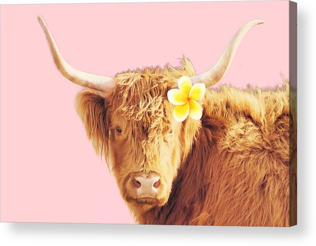 Cow Acrylic Print featuring the photograph Aloha Cow III by Robin Dickinson
