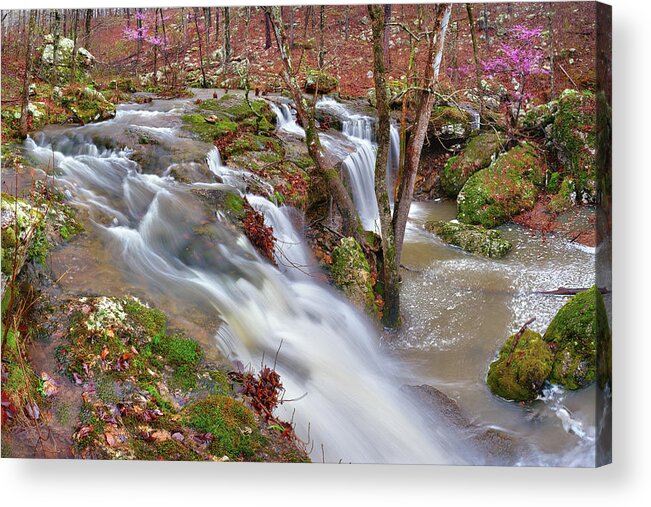 Waterfall Acrylic Print featuring the photograph Coward's Hollow Shut-ins I by Robert Charity