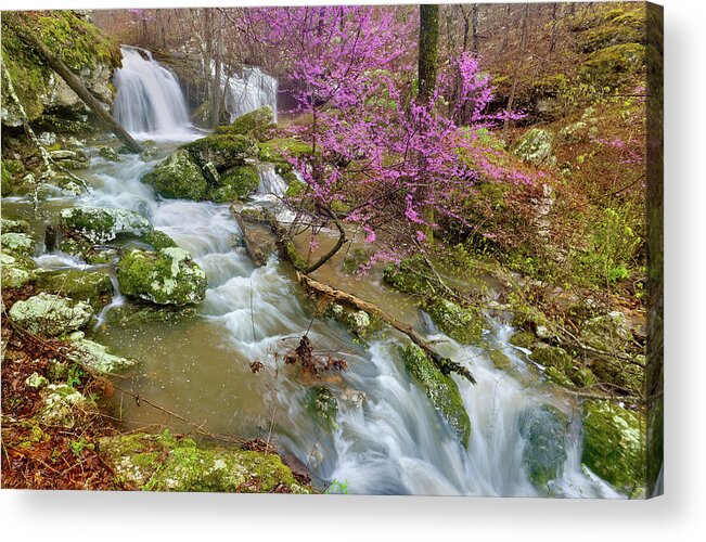 Spring Acrylic Print featuring the photograph Coward's Hollow Shut-ins II by Robert Charity