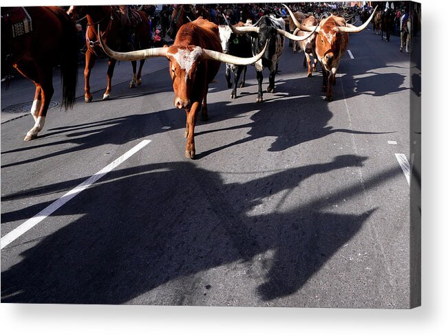 Human Interest Acrylic Print featuring the photograph Cowboy Shadow by Rick Wilking