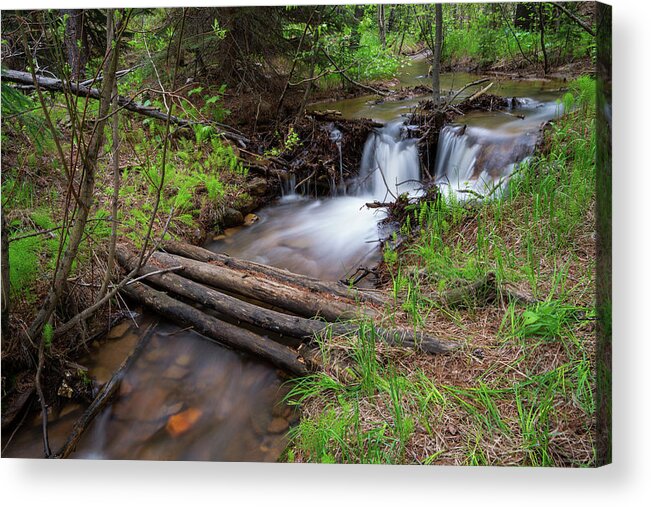 Log Crossings Acrylic Print featuring the photograph Creek Crossing In The Woods by James BO Insogna