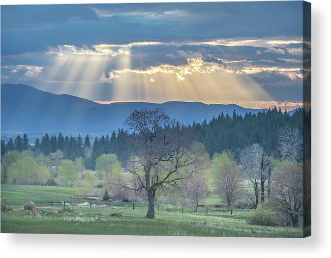 Sun Acrylic Print featuring the photograph Crepuscular by Randy Robbins