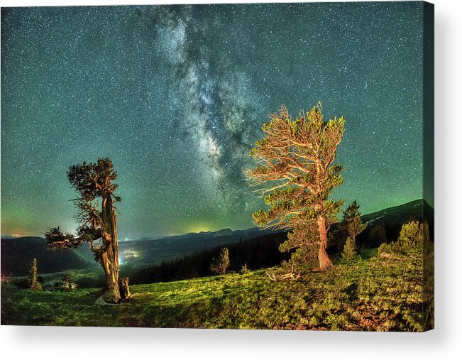 Colorado Acrylic Print featuring the photograph Current Bristlecone Tree Against a Starry Sky. by OLena Art by Lena Owens - Vibrant DESIGN