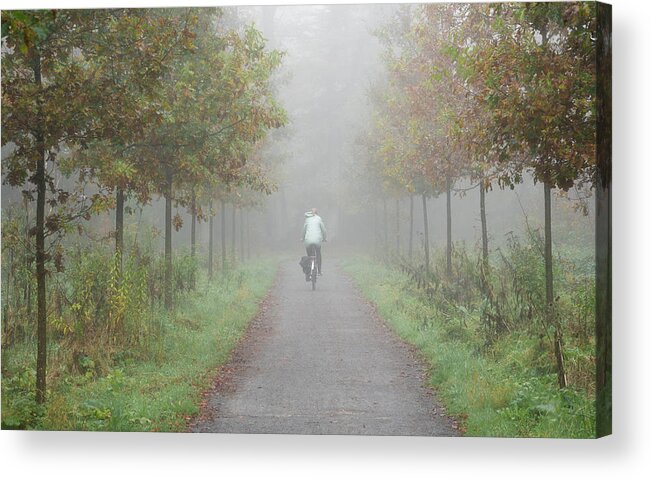 Cyclist Acrylic Print featuring the photograph Cyclist in the mist by Anges Van der Logt